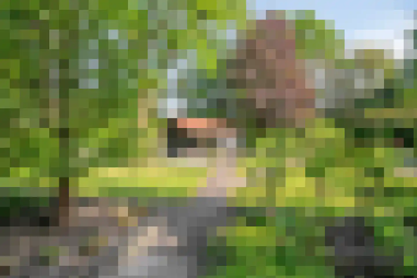 Heuvellaan 20 Epe thumbnail 49