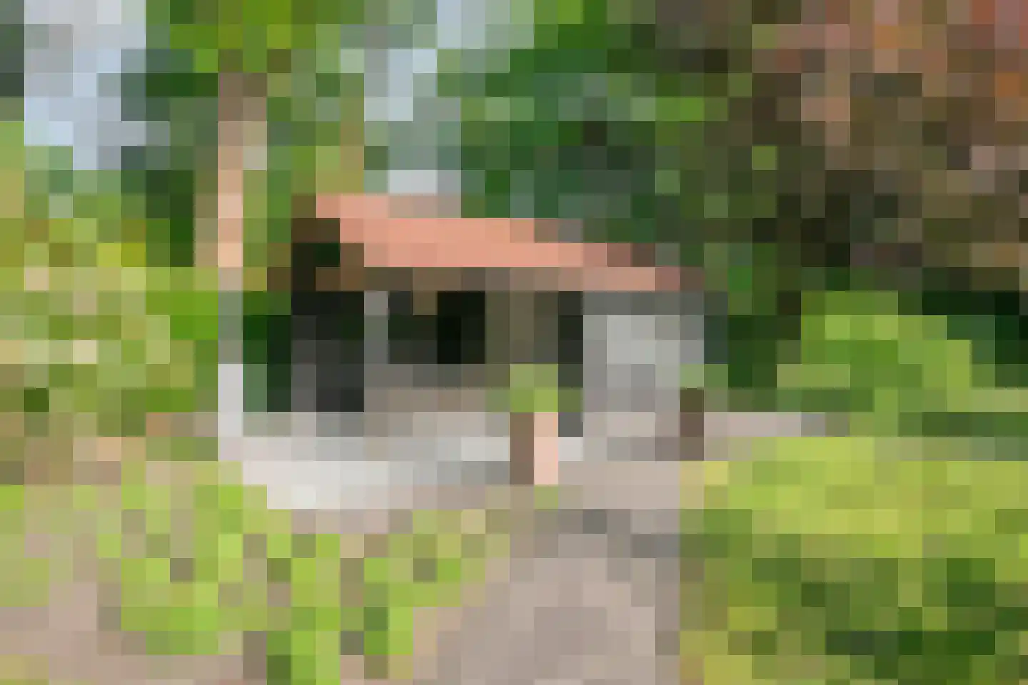 Heuvellaan 20 Epe thumbnail 51
