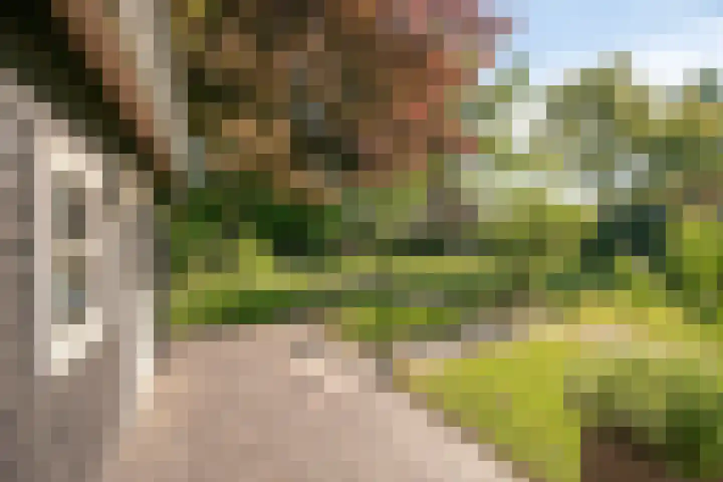 Heuvellaan 20 Epe thumbnail 52