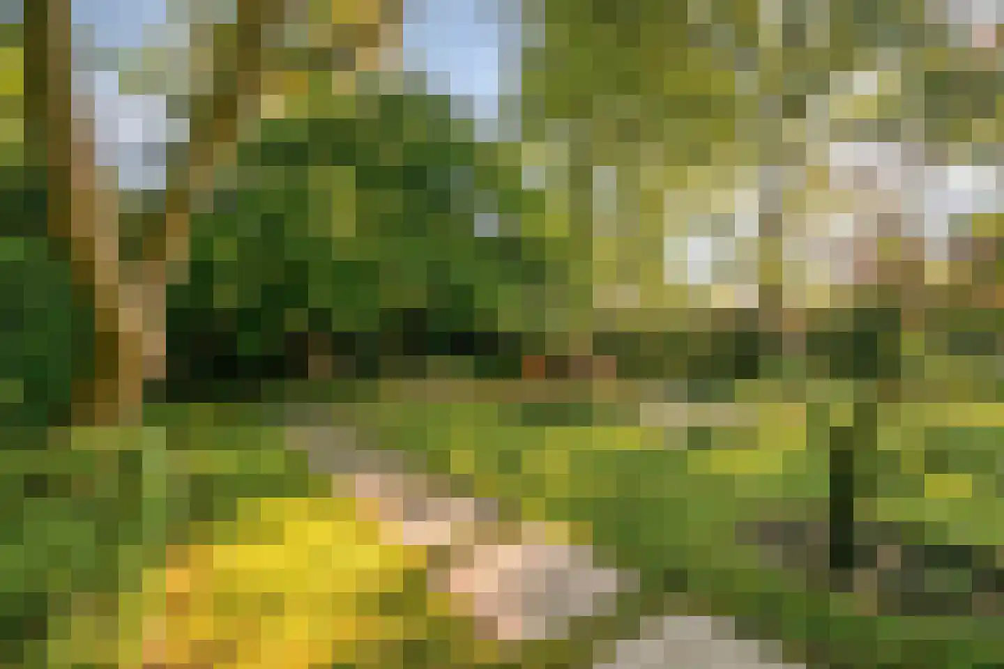 Heuvellaan 20 Epe thumbnail 53