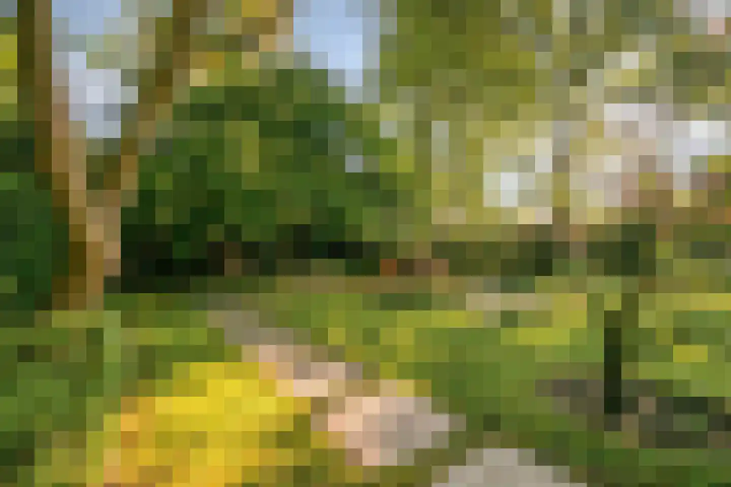 Heuvellaan 20 Epe thumbnail 53