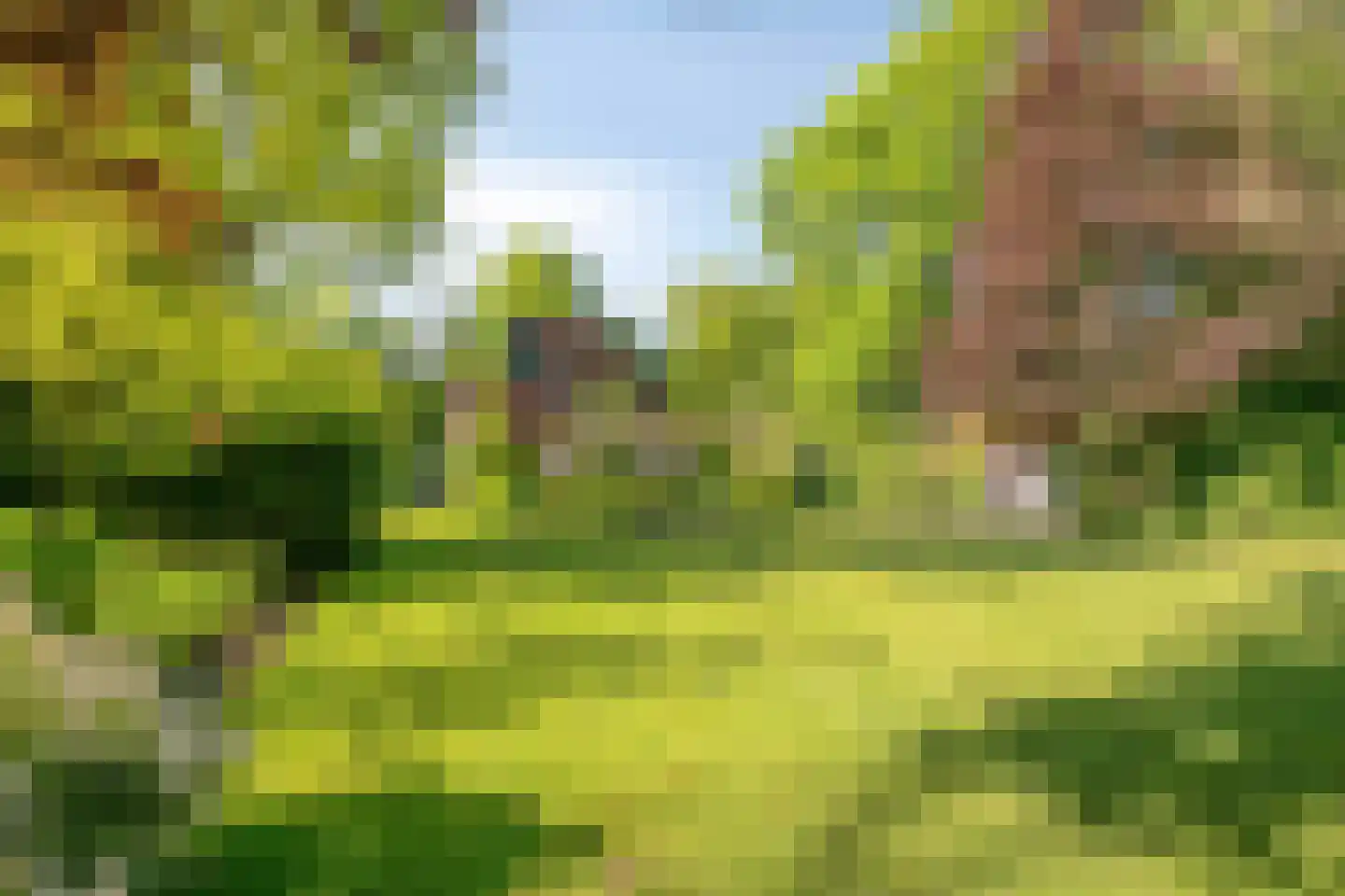 Heuvellaan 20 Epe thumbnail 54