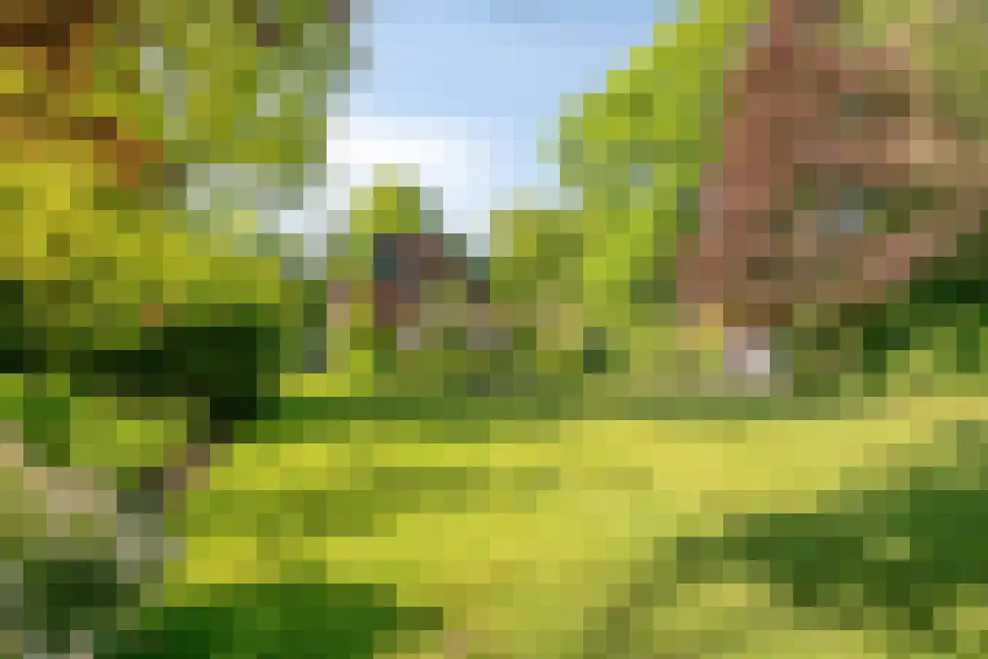 Heuvellaan 20 Epe thumbnail 54