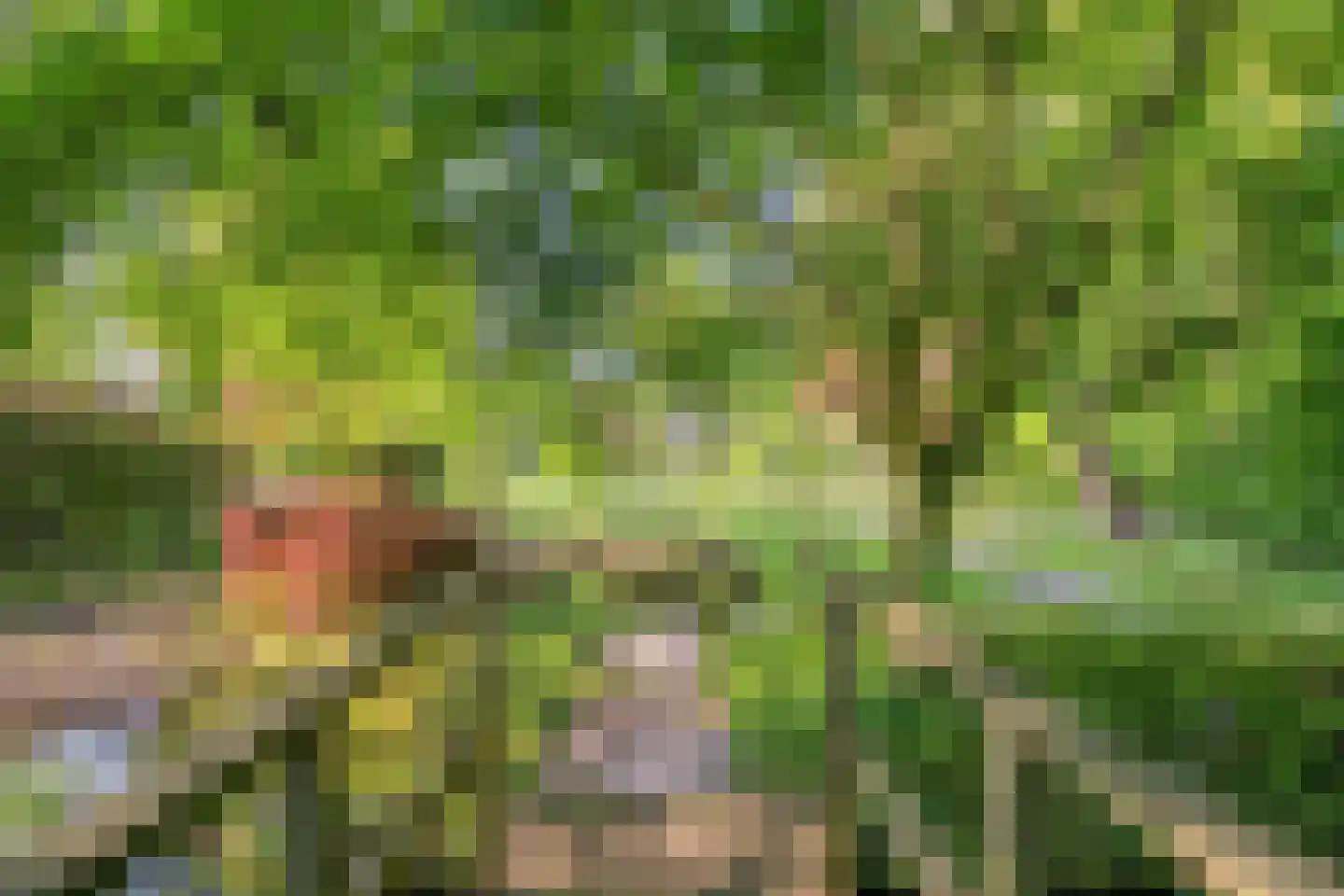 Heuvellaan 20 Epe thumbnail 55
