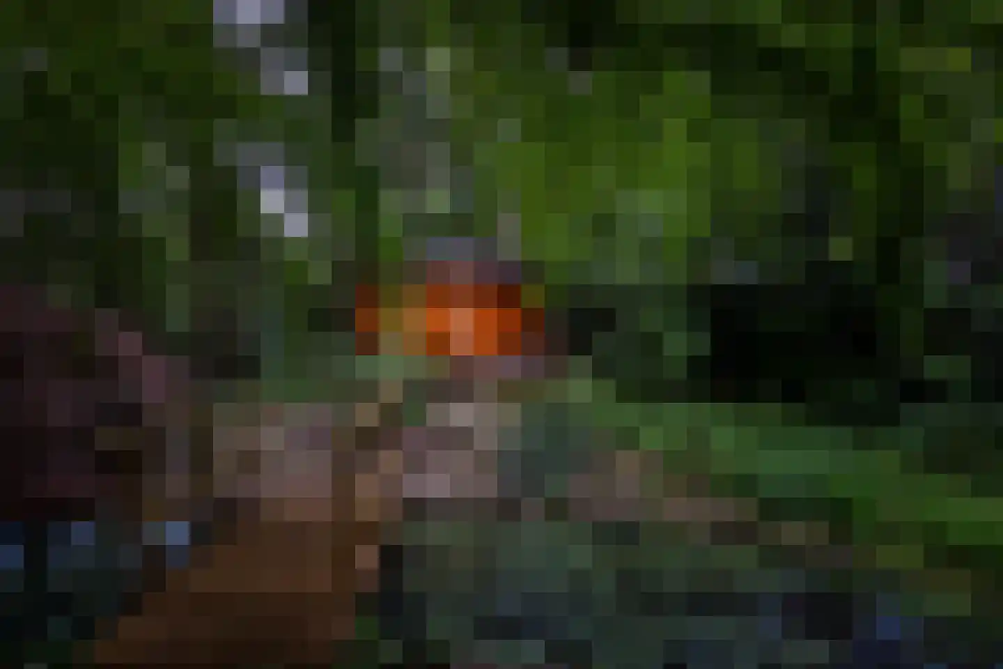 Heuvellaan 20 Epe thumbnail 56