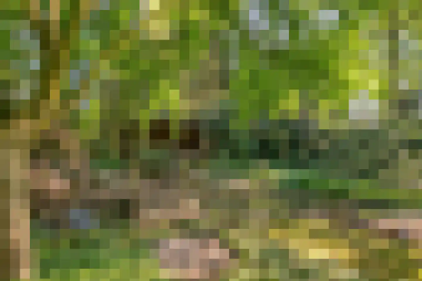 Heuvellaan 20 Epe thumbnail 57