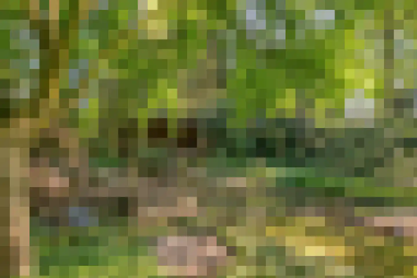 Heuvellaan 20 Epe thumbnail 57