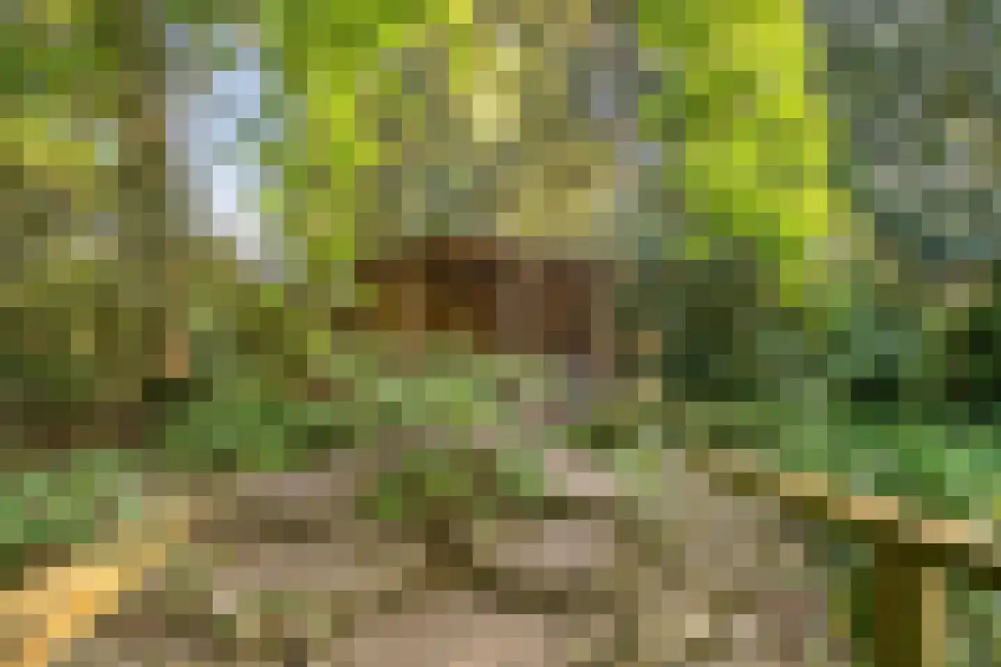 Heuvellaan 20 Epe thumbnail 58