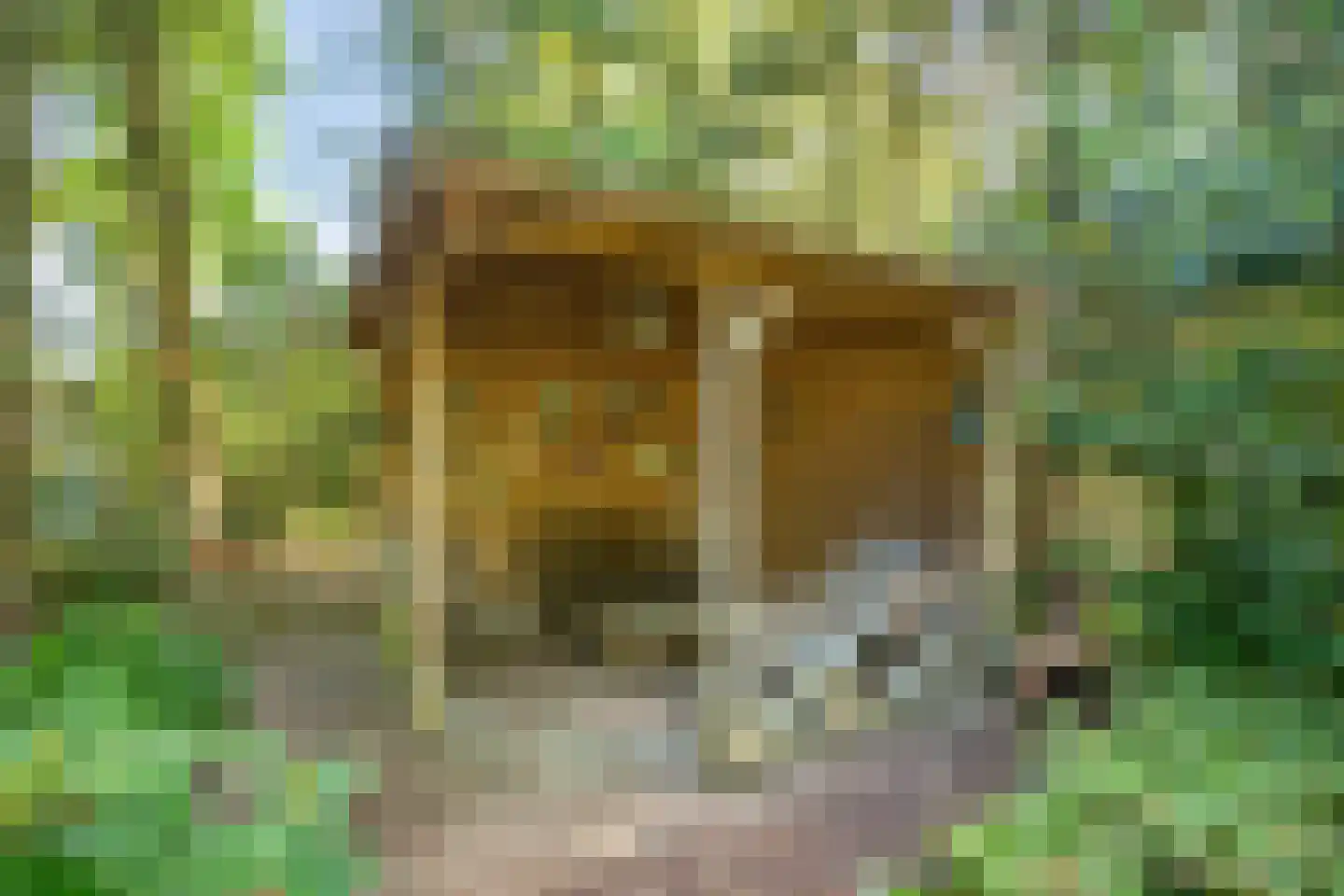 Heuvellaan 20 Epe thumbnail 59