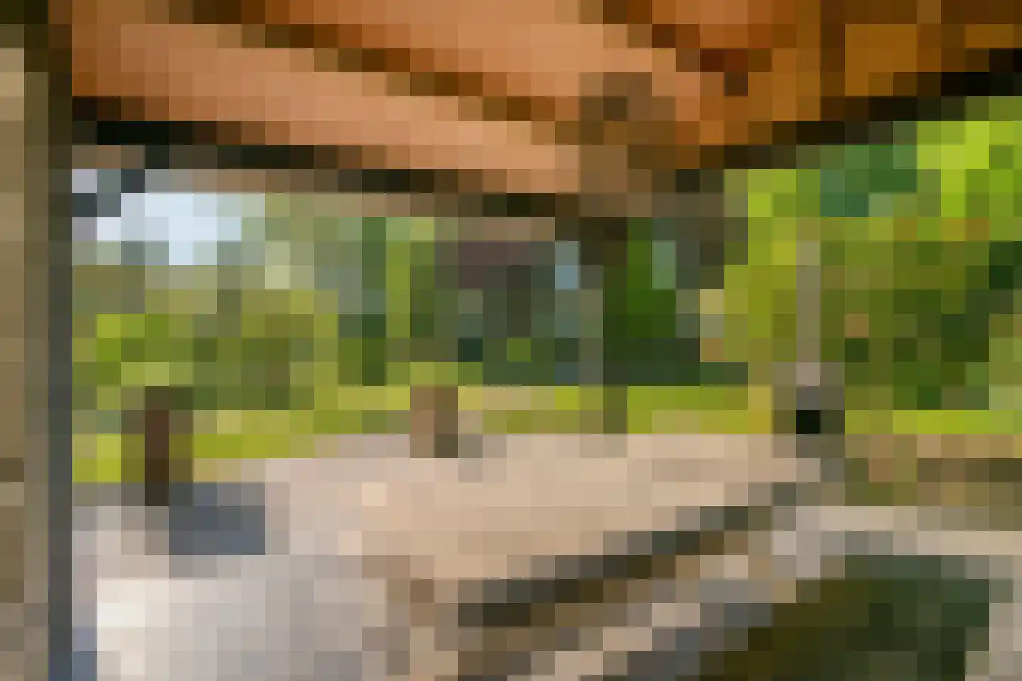 Heuvellaan 20 Epe thumbnail 6