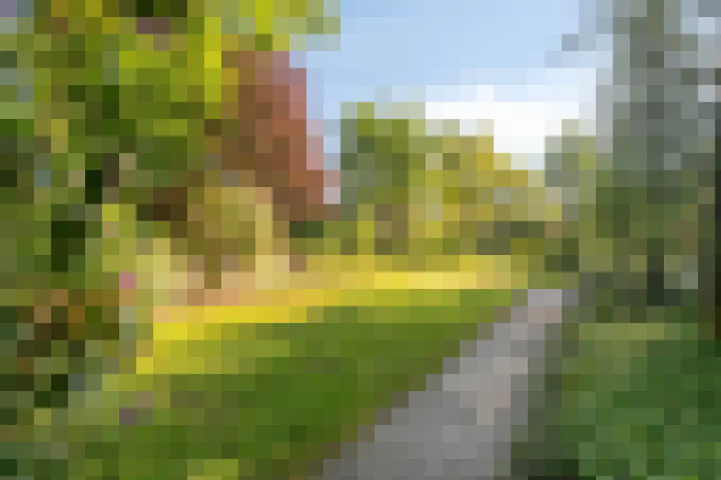 Heuvellaan 20 Epe thumbnail 60