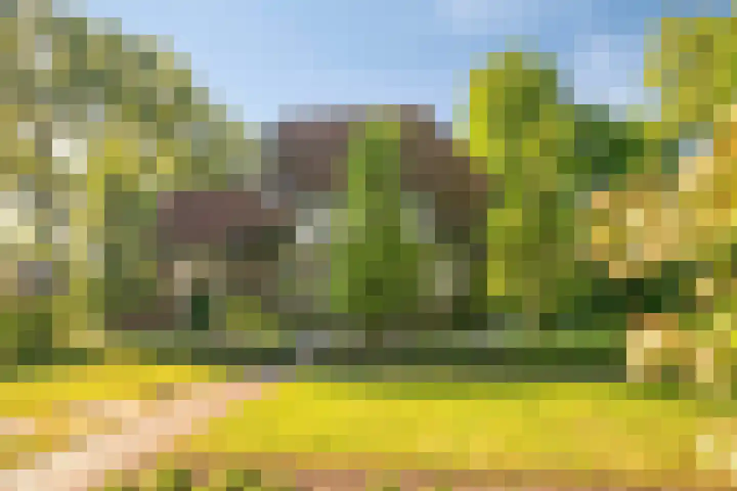 Heuvellaan 20 Epe thumbnail 61