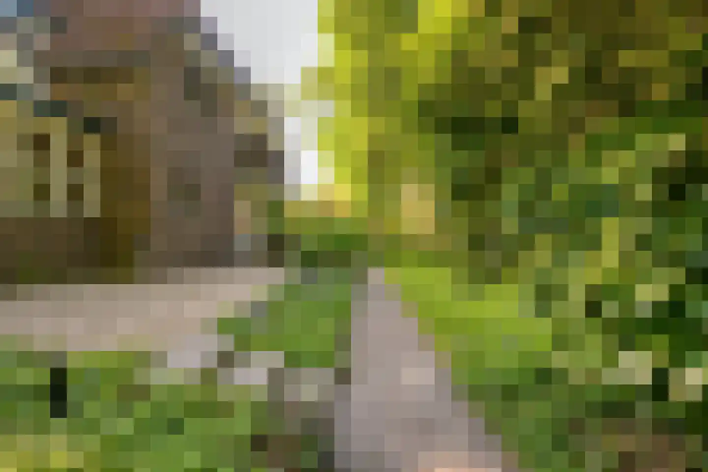 Heuvellaan 20 Epe thumbnail 62