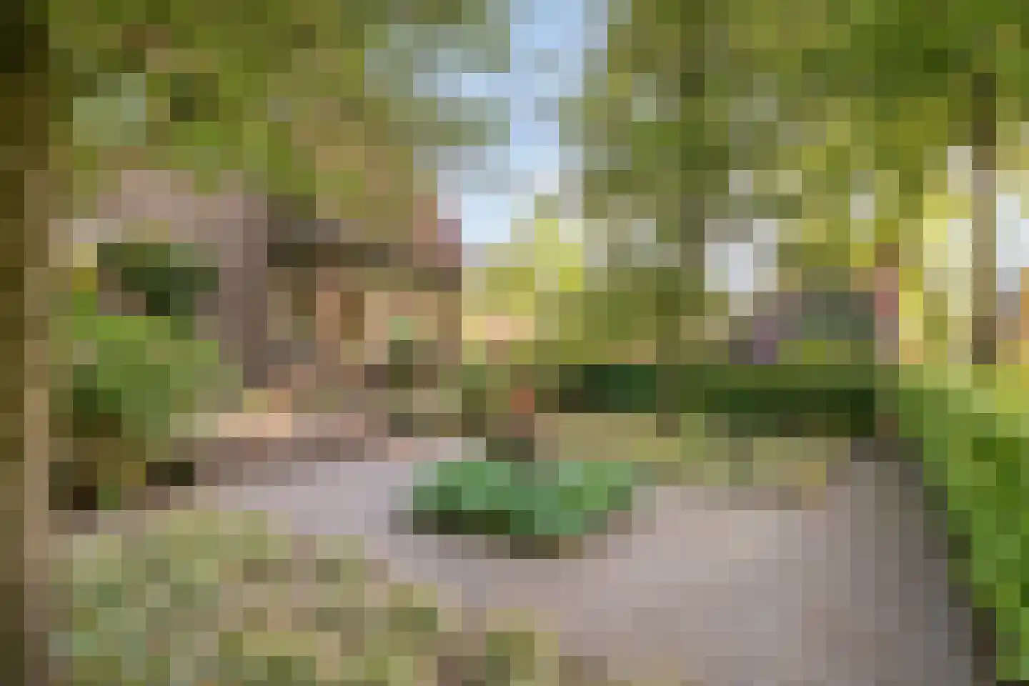Heuvellaan 20 Epe thumbnail 64
