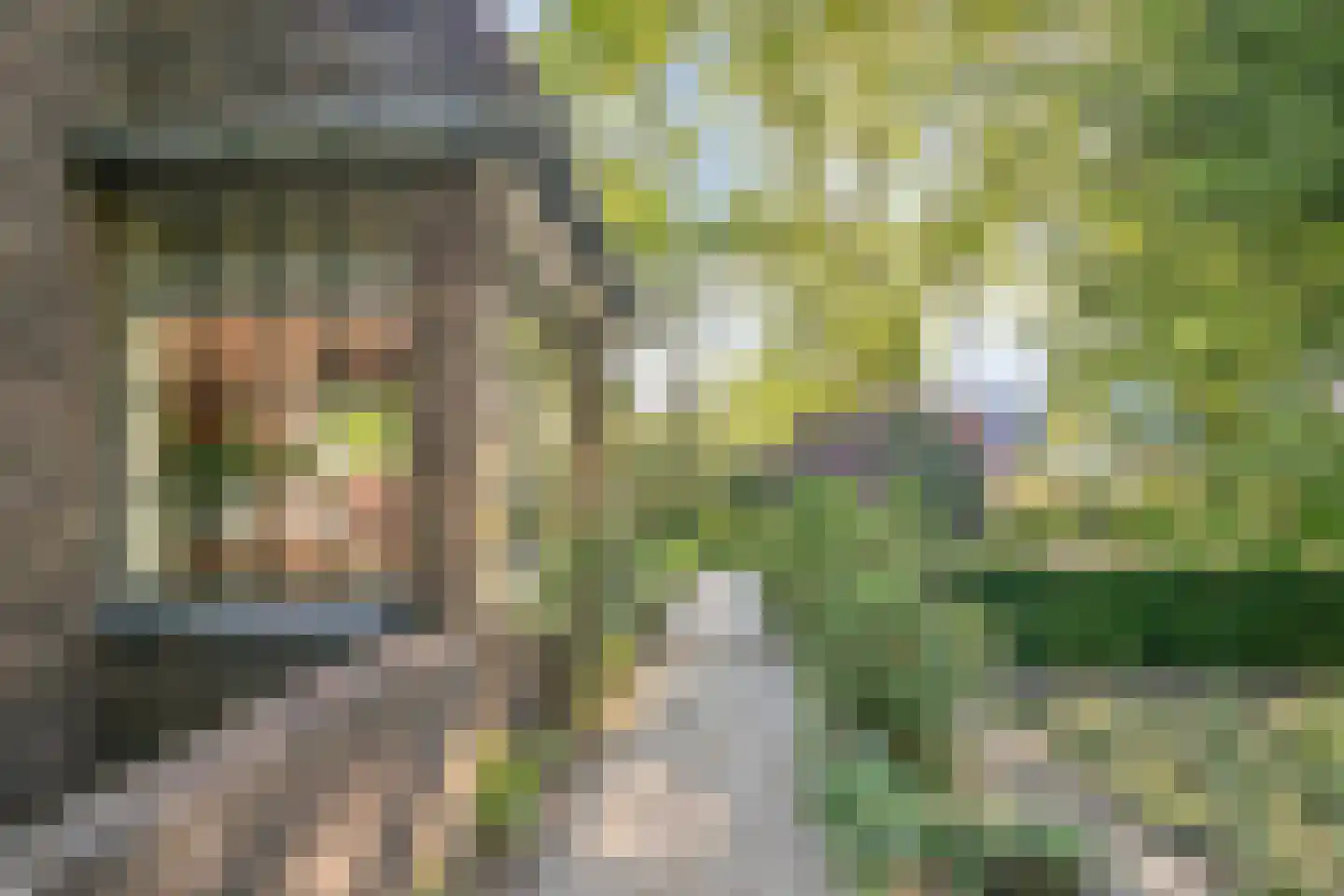 Heuvellaan 20 Epe thumbnail 64