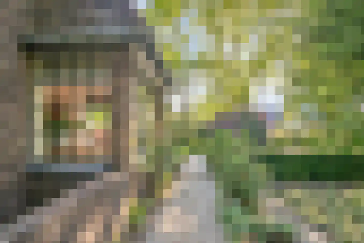 Heuvellaan 20 Epe thumbnail 65