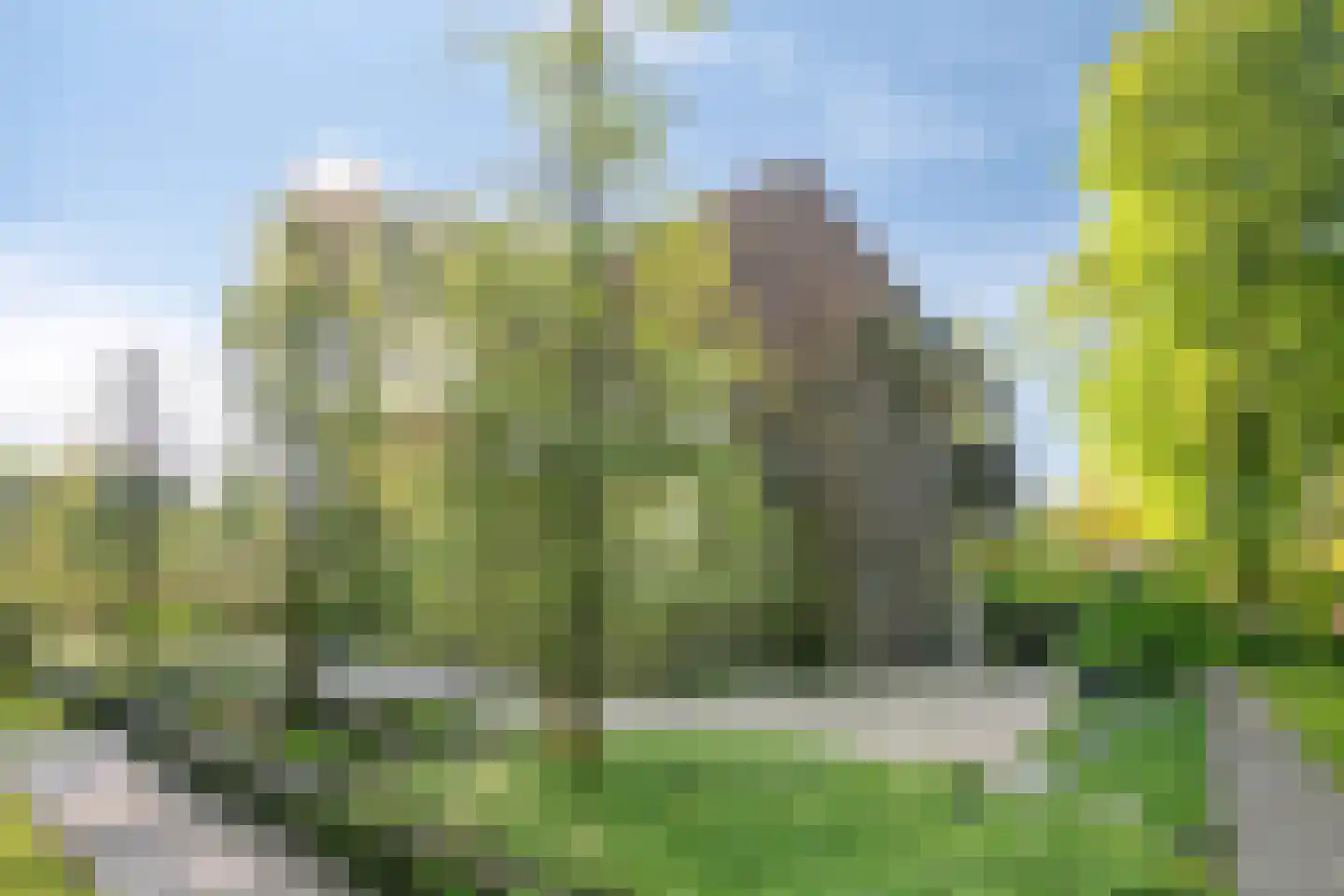Heuvellaan 20 Epe thumbnail 65