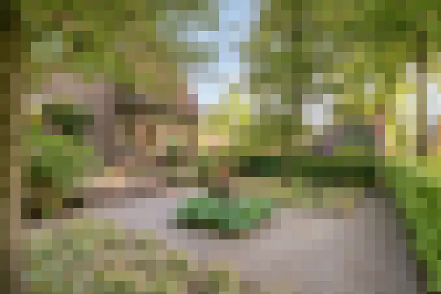 Heuvellaan 20 Epe thumbnail 66