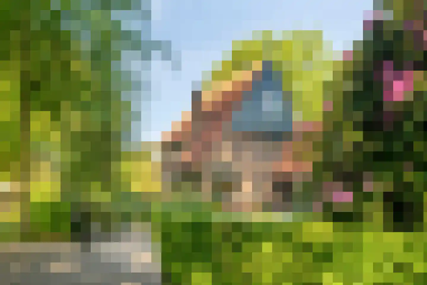 Heuvellaan 20 Epe thumbnail 67