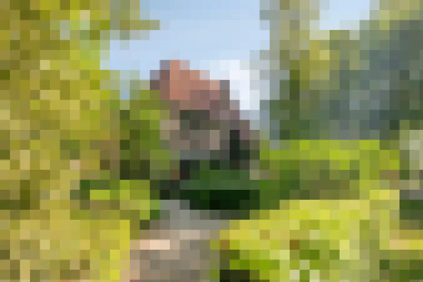Heuvellaan 20 Epe thumbnail 68