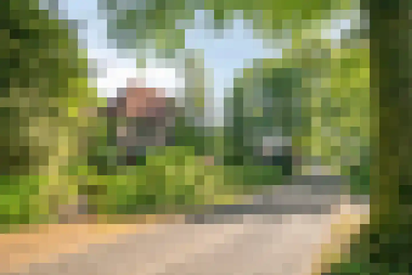 Heuvellaan 20 Epe thumbnail 69