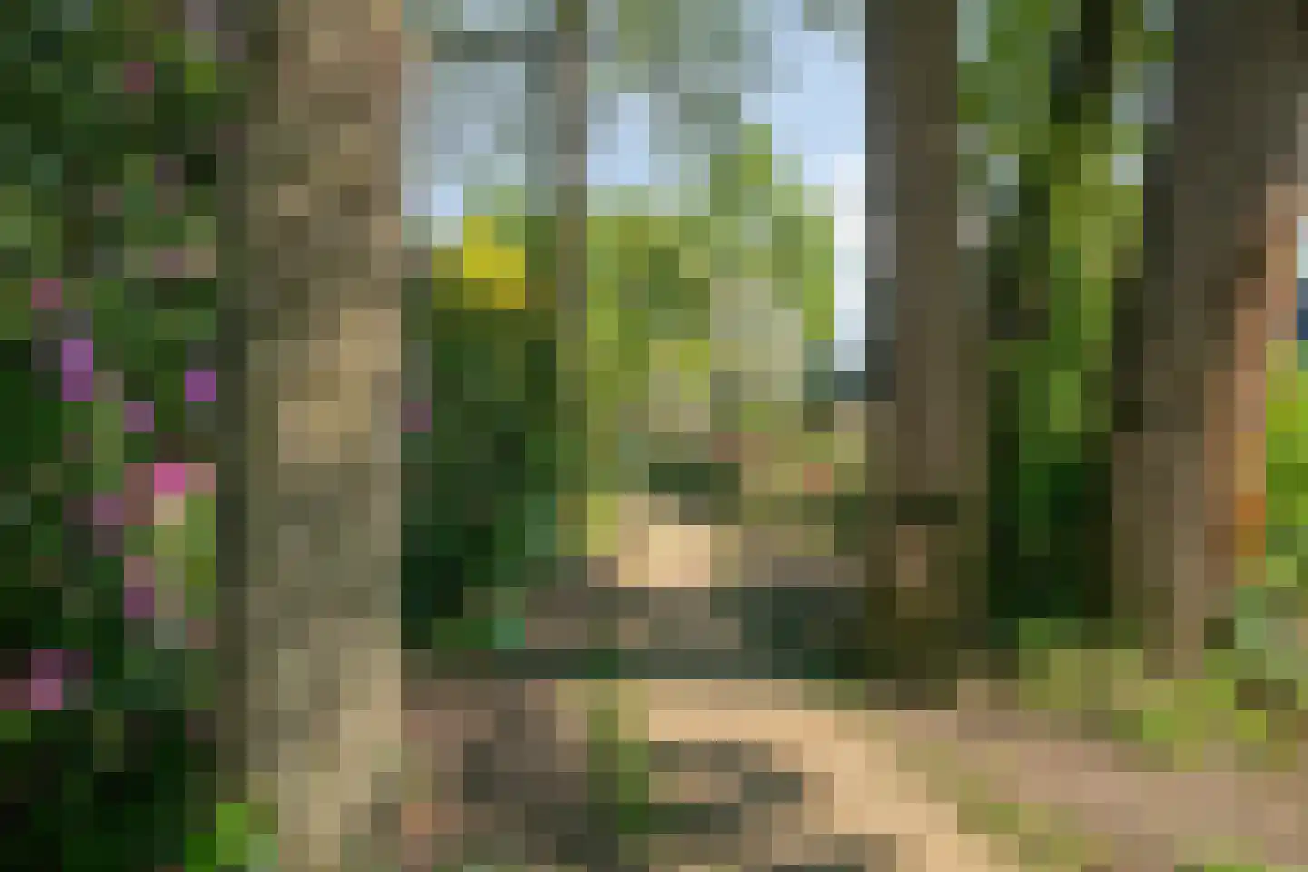 Heuvellaan 20 Epe thumbnail 70