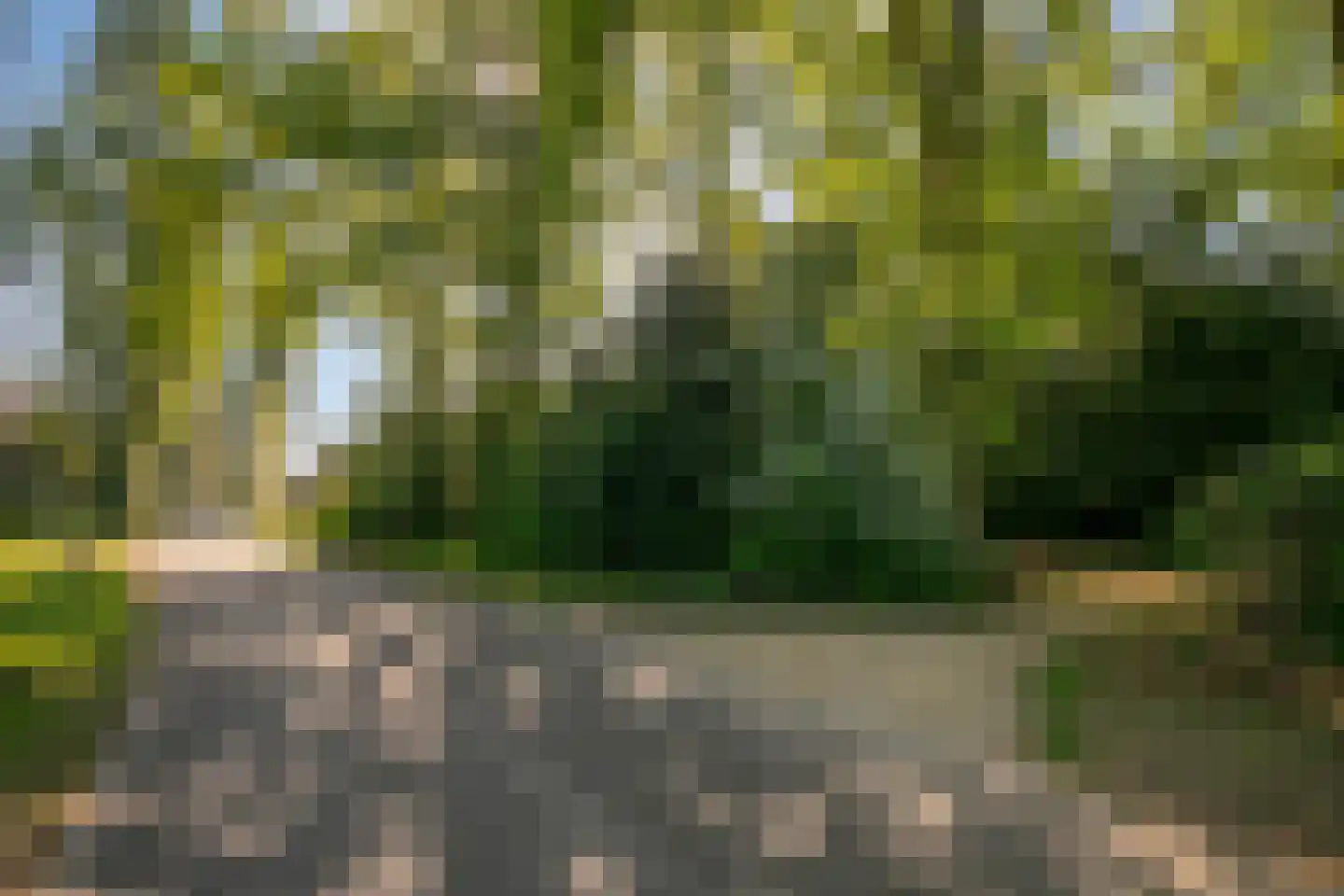Heuvellaan 20 Epe thumbnail 71