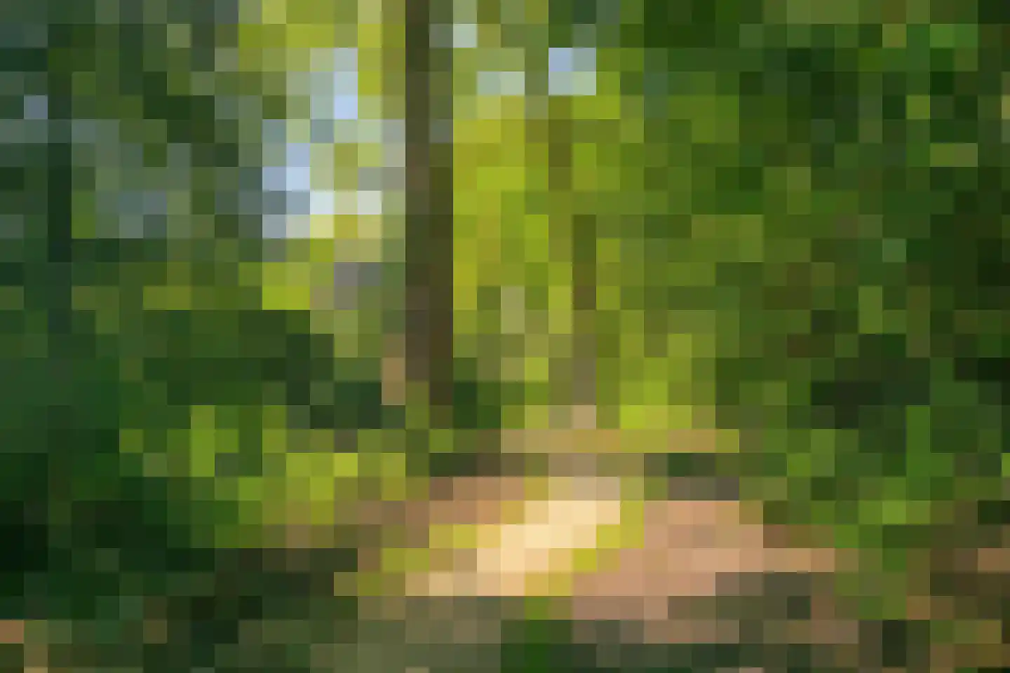 Heuvellaan 20 Epe thumbnail 72
