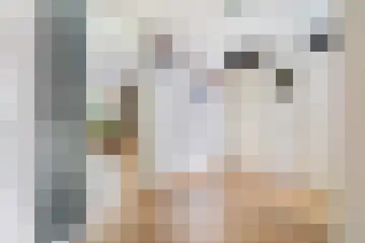 Heuvellaan 22 Gouda thumbnail 10