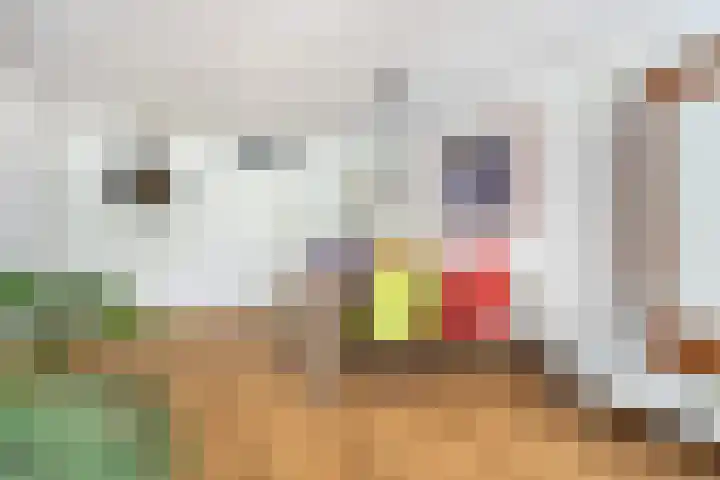 Heuvellaan 22 Gouda thumbnail 13