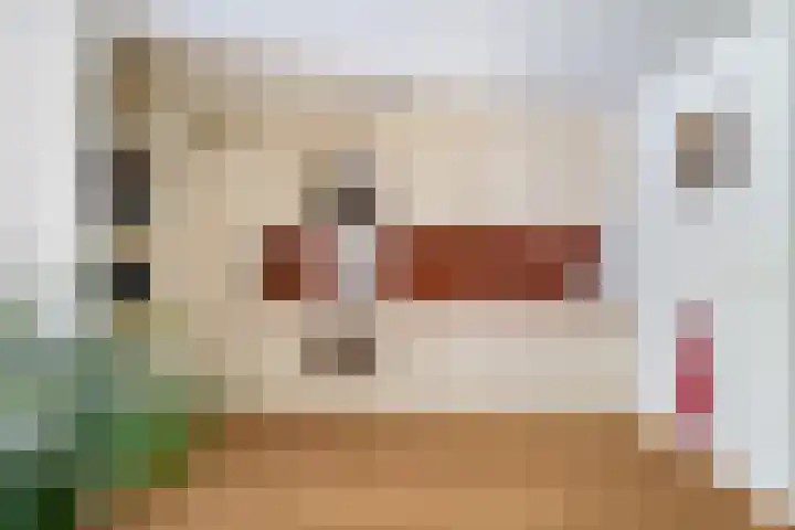 Heuvellaan 22 Gouda thumbnail 17