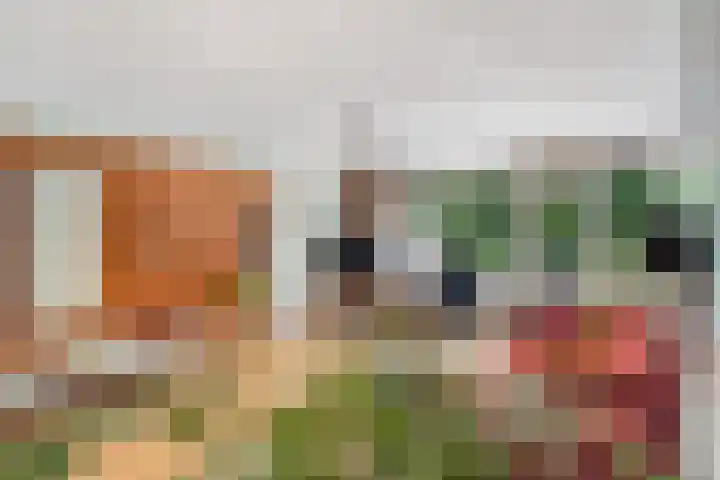 Heuvellaan 22 Gouda thumbnail 20