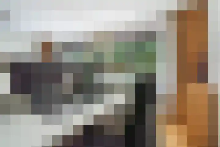 Heuvellaan 22 Gouda thumbnail 25