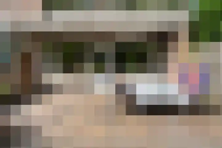 Heuvellaan 22 Gouda thumbnail 29