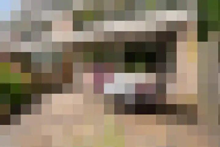 Heuvellaan 22 Gouda thumbnail 30