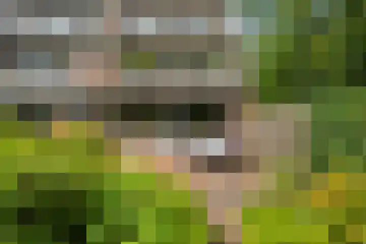 Heuvellaan 22 Gouda thumbnail 31