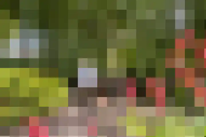 Heuvellaan 22 Gouda thumbnail 33