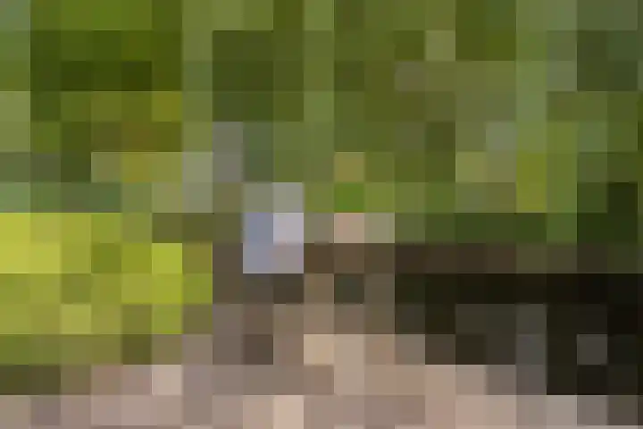 Heuvellaan 22 Gouda thumbnail 34