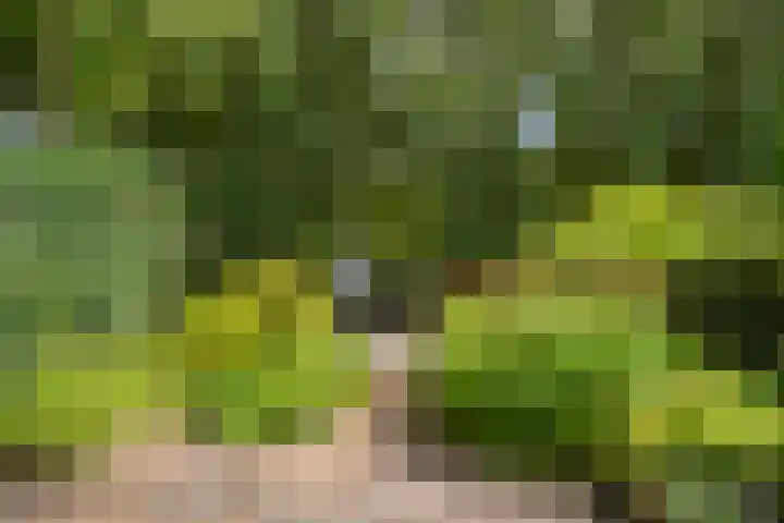 Heuvellaan 22 Gouda thumbnail 36