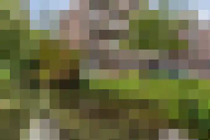 Heuvellaan 22 Gouda thumbnail 49