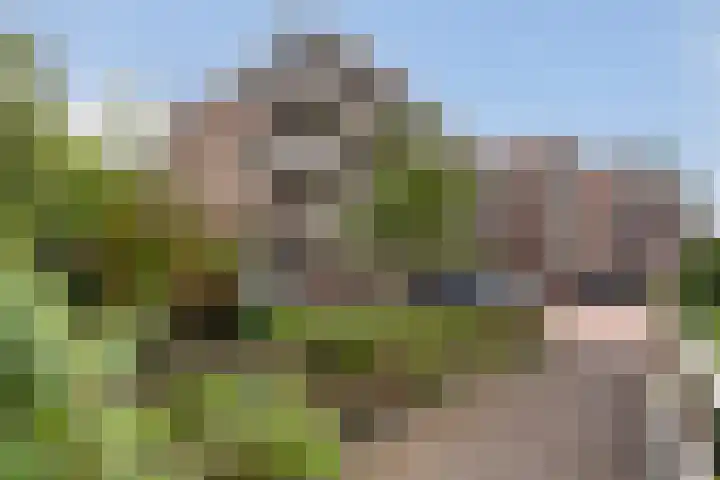 Heuvellaan 22 Gouda thumbnail 5