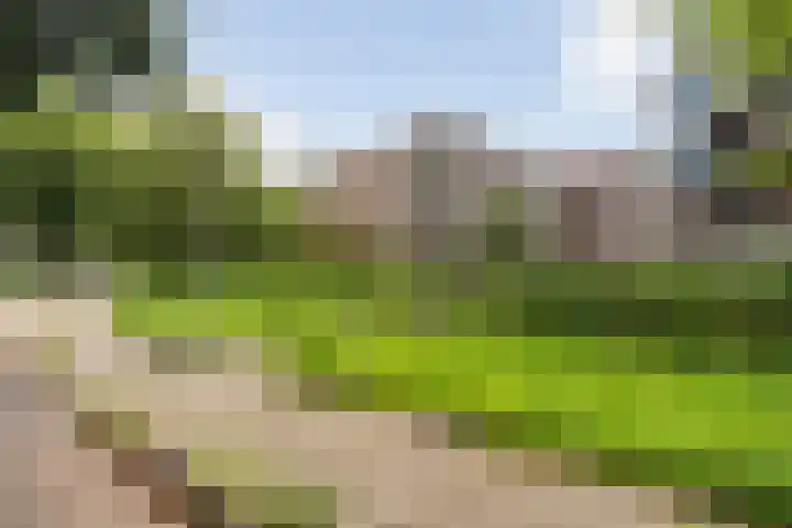 Heuvellaan 22 Gouda thumbnail 52