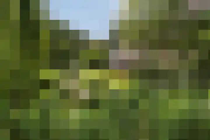 Heuvellaan 22 Gouda thumbnail 54