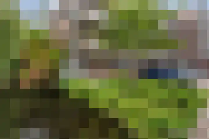 Heuvellaan 22 Gouda thumbnail 6