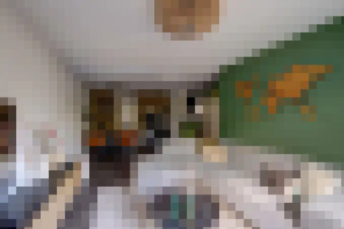 Heuvellaan 34 Gouda thumbnail 11