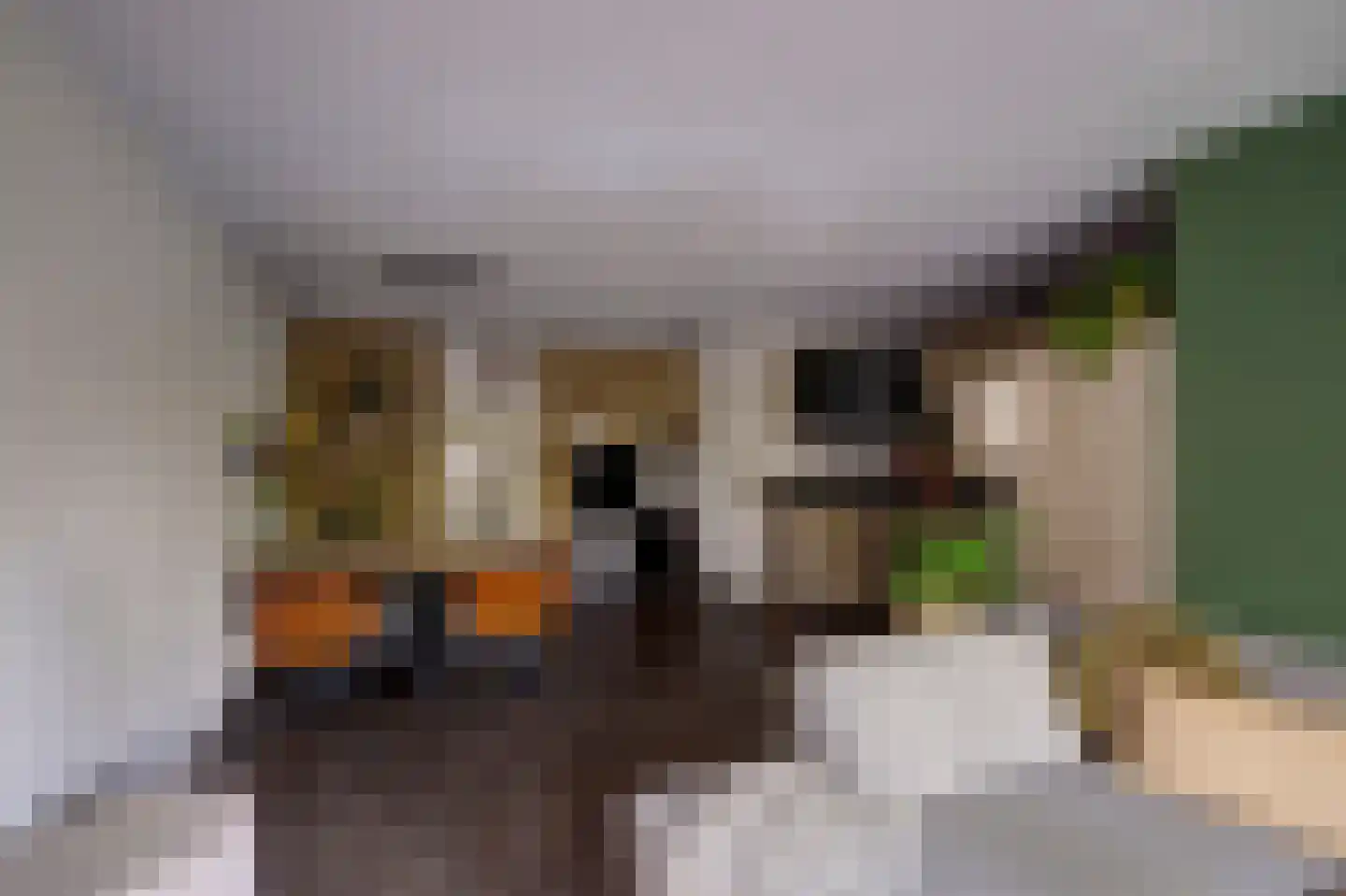 Heuvellaan 34 Gouda thumbnail 12