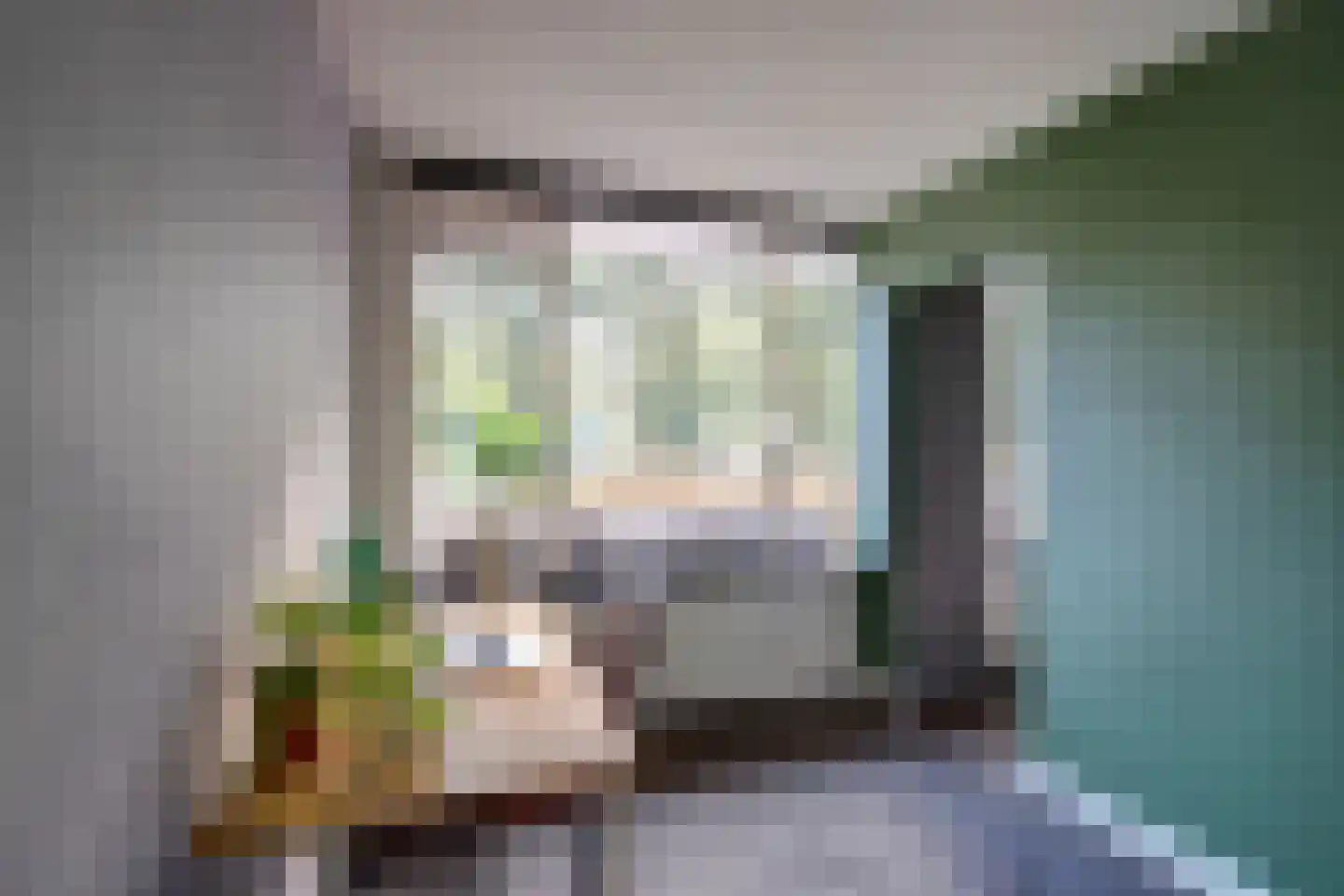 Heuvellaan 34 Gouda thumbnail 22