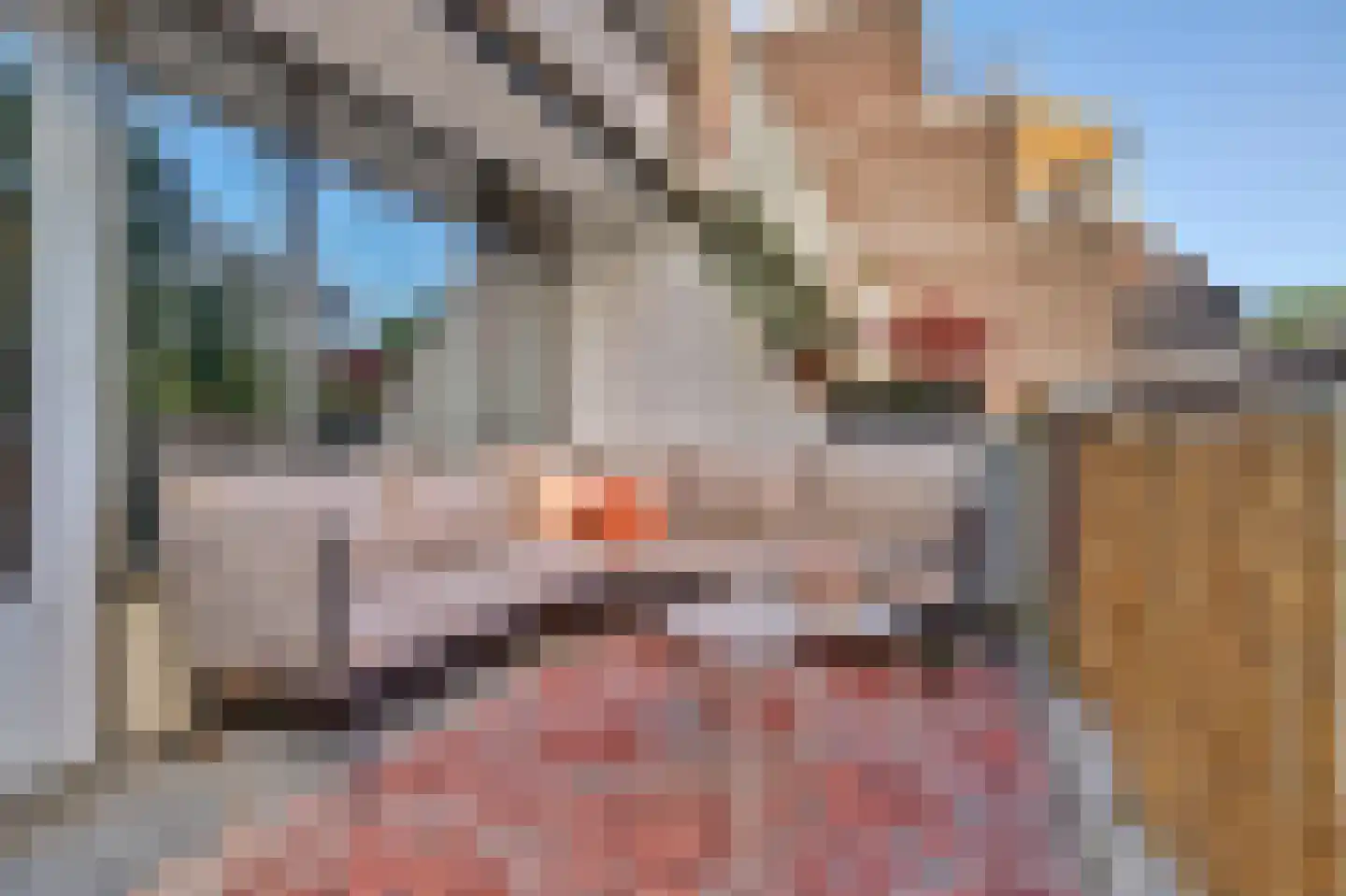 Heuvellaan 34 Gouda thumbnail 27