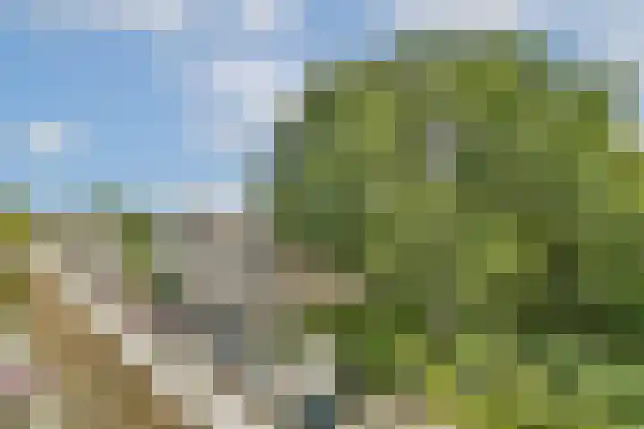 Heuvellaan 37 Gouda thumbnail 20