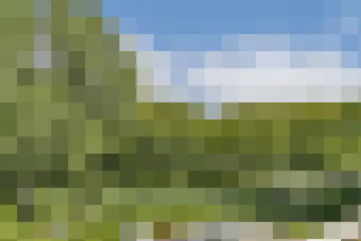Heuvellaan 37 Gouda thumbnail 21